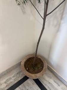 Macetas de Piedra Antiguas con Altura Ajustable, Muebles de Exterior para Sala de Estar, Macetas para Exteriores - Product Image 5