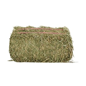 Heno de alfalfa barato en fardos y heno de Timothy, compra a granel, alimento para caballos de alta fibra de gran valor - Product Image 5