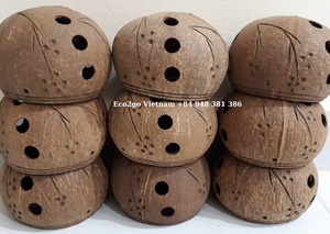 Olla de cáscara de coco ecológica, maceta de flor de coco hecha a mano y de alta calidad en Vietnam - Product Image 2