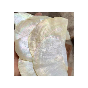 Vietnam nacre coquille pièces nacre tranches de nacre pour décoration murale bijoux incrustation artisanat panneaux et conceptions de meubles - Product Image 4