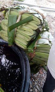 Vente en gros de feuilles de bananier congelées Fournisseur du Vietnam Feuilles de bananier vertes fraîches pour l'exportation et le restaurant - Product Image 6