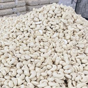 Meilleur prix noix de cajou grillées biologiques Santigo au Vietnam W210 240 qualité supérieure sans taxe - Product Image 1