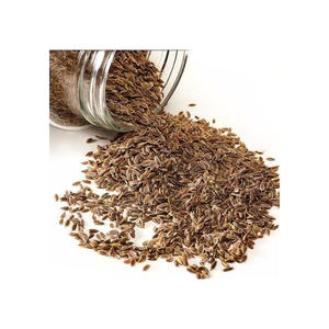 100% Natural Premium Dill Seed Essential Oil Therapeutic Grade for Aromatherapy Skincare and Hair Liquid Form - Product Image 1