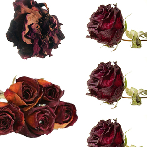 Pétales de rose biologiques séchés comestibles en vrac pour le thé, fleurs naturelles séchées, qualité export, pétales de rose respirants, idéal pour les cadeaux - Product Image 5