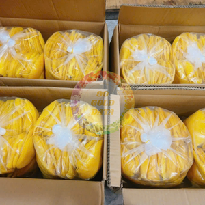 Premium Soft Dried Mango Wholesale - Sourced from the Best Mangoes, <b>Chewy</b> & Tasty, Export-Ready for International Markets - Product Image 4