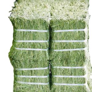 Grandes cantidades óptimamente saludables, pacas de heno de hierba de Rodas naturales, 12% proteínas, grado A +, alimento para animales para cerdos y caballos - Product Image 6