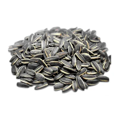 Sementes de girassol pretas, novas sementes de girassol de alta qualidade para óleo natural consumo humano