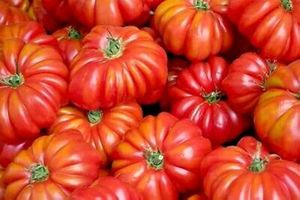 Tomates biologiques fraîches (variété cerise) à vendre - Product Image 4
