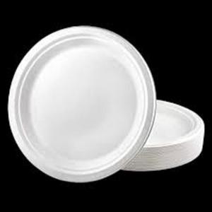 Vaisselle et vaisselle jetables de qualité supérieure en bagasse de canne à sucre ronde de 10 pouces écologiques pour les fêtes - Product Image 1