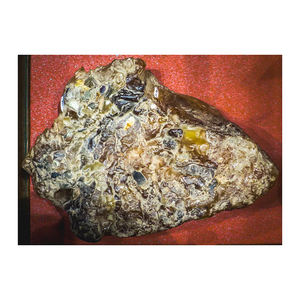 Cápsula de extracto de Animal ámbar gris blanco de alta calidad, aplicación cosmética, exportación, stock Listo para envío, embalaje confiable - Product Image 4