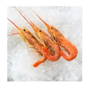 Camarones Rojos Argentinos Frescos Congelados, Grado de Exportación, Mariscos Sostenibles, Alta Calidad, Proveedor Mayorista - Product Image 4