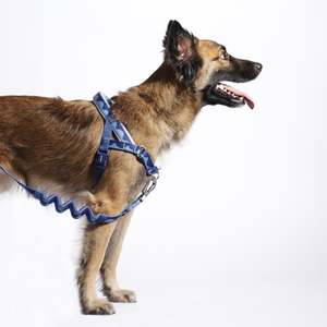 Norwegian Softer-Walk Harness Simple Style <b>Dog</b> Harness with Swell Feature - Product Image 2