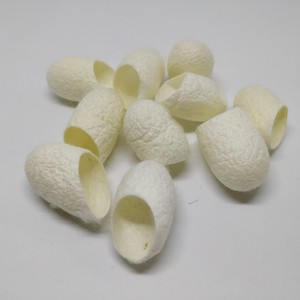 Capullo de gusano de seda de morera natural crudo para limpieza facial e hilo Capullo de gusano de seda de Vietnam - Product Image 1