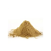 Poudre de gingembre séché de qualité supérieure, épices et herbes uniques pour la pâtisserie, les smoothies, les formulations traditionnelles, vente en gros Herbojit