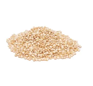 100% natural pure conventional red quinoa seeds