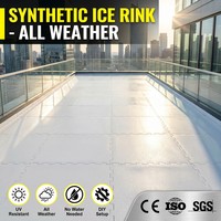 Pista de Hockey sobre Hielo Sintético Móvil de UHMWPE de 20m X 40m - Baldosas de Hielo Artificial Económicas para Pistas de Patinaje