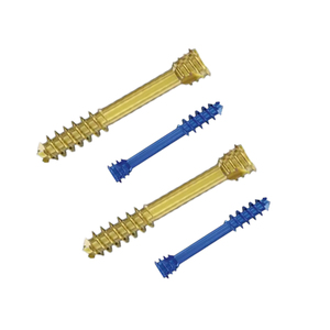 Vente flash : Vis de blocage canulée sans tête Herbert, acier inoxydable de haute qualité, implants articulaires vétérinaires pour chiens, chirurgie - Product Image 1