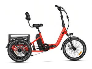Tricycle électrique E-310 pour adultes 750W 90MI 70Ah UL2849 Etrike Cadre en aluminium pliable Tricycle électrique 12V Vélo électrique à 3 roues - Product Image 2