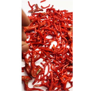 440 piezas de coral italiano natural de 5mm a 40mm en bruto 550 Cts lote Iroc ventas materia prima de alta calidad para piedras preciosas sueltas US $83 todo - Product Image 4