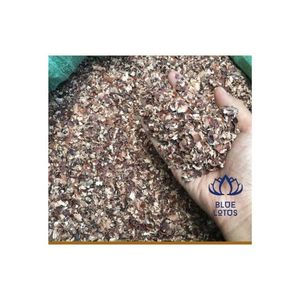 เม็ดมะม่วงหิมพานต์ดิบราคาขายส่ง - Product Image 4