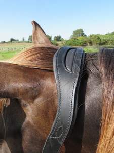 Halter de cuello de cabeza de caballo de cuero completamente elevado y acolchado con accesorios de latón Color marrón ajustable - Product Image 6