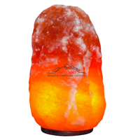 Lampe en sel de l'Himalaya naturel 5-7 kg Sculptée à la main Écologique Couleur naturelle Décoration d'éclairage d'ambiance Maison Amour Feng Shui Bois
