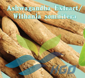 HGO Suministro directo de fábrica de extracto puro natural de Ashwagandha Withania somnifera (grado alimenticio) Especificación 20:1 (extracto de proporción) - Product Image 2