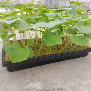 Agriculture hydroponique laine de roche 100x10x10cm serre tomate concombre laine de roche sac de culture - Product Image 5