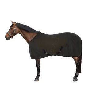 Alfombra reflectante de invierno para caballos, a prueba de viento y algodón cálido para una conducción segura, venta en línea - Product Image 1