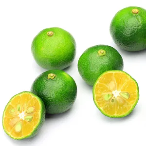 出售Calamansi泥冷冻Calamansi果汁泥冷冻金橘Akina的最佳价格