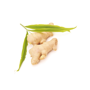 Le gingembre frais biologique et le gingembre séché sont disponibles à des tarifs abordables auprès de fournisseurs basés au Vietnam. - Product Image 6