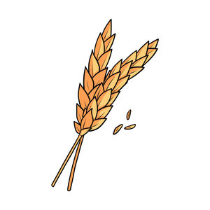 Calidad superior 100% Auténtico grano seco italiano 500g Espagueti en bolsa Pasta de trigo duro para cocinar - Product Image 3