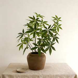 Glücksbaum Künstliche Pflanze Faux Pachira im Keramiktopf mit Dekorativem Boden Wohlstands-Heimdekoration - Product Image 5