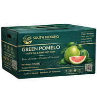 Premium verse groene pomelo met roze vruchtvlees |   100% natuurlijk zoet, hoogwaardig pomelo fruit |   Klasse 1,6 kg VS EU AU Midden-Oosten