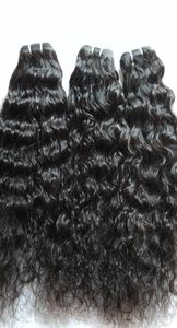 Extensions de cheveux indiens vierges de qualité 100% Machine d'armure bouclée ondulée naturelle Double trame cheveux humains vierges bruts Remy toutes les couleurs - Product Image 3