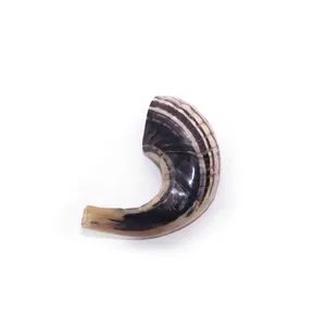 ฮอร์น shofar แตรธรรมชาติสำหรับเป่า Rosh Hashanah คุณภาพสูง - Product Image 1