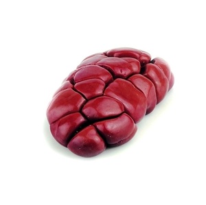 Riñón de Res Congelado en Venta |   Suministro al por Mayor a Precios Competitivos - Product Image 1