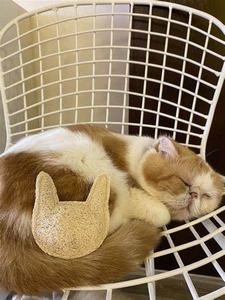 LOOFAH Jouet à Mâcher Naturel Formes Multiples Fait à la Main au Vietnam - Product Image 2