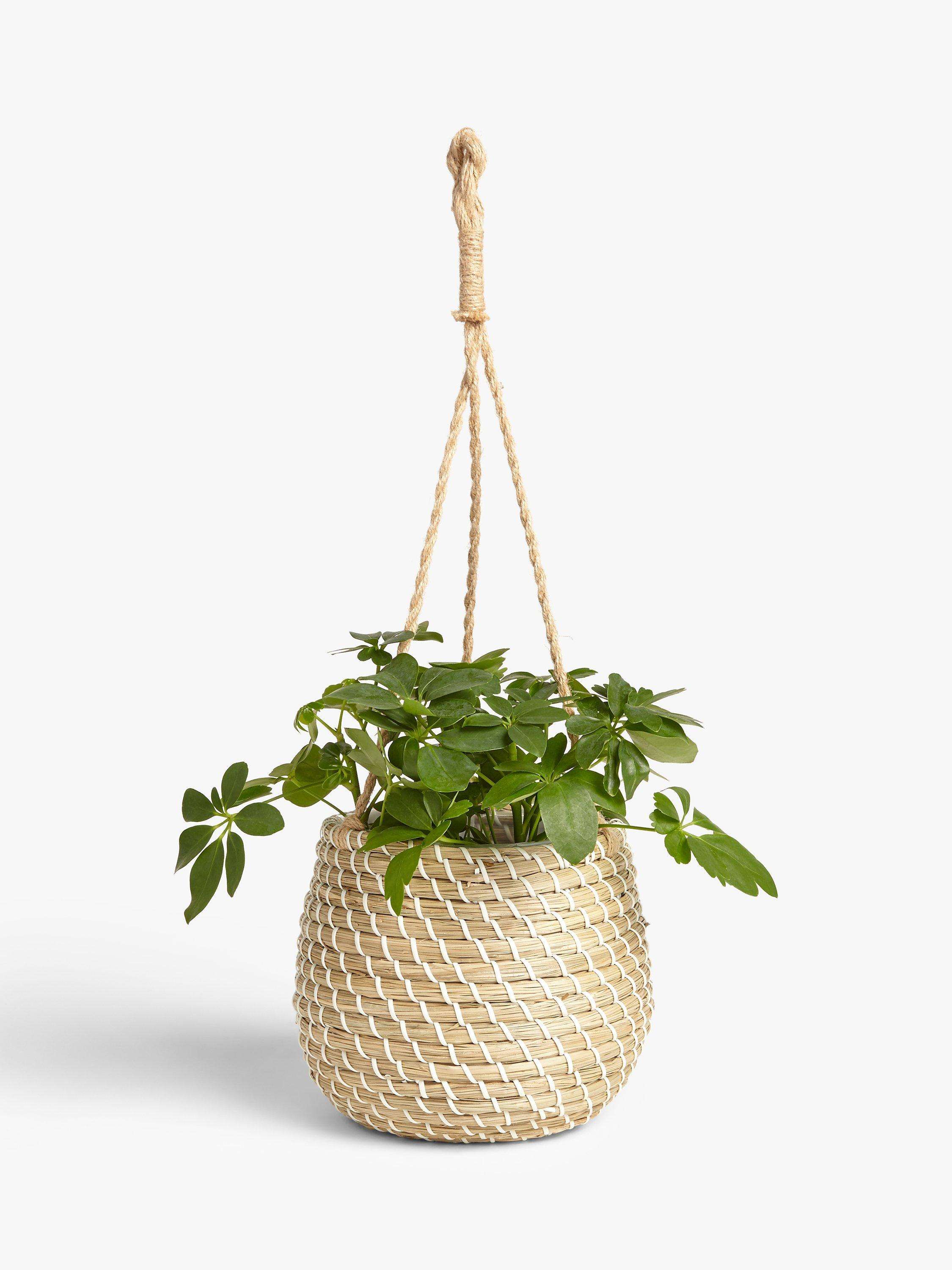 D22 H22cm Hanging length 45cm