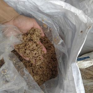 Variedad de alimentación de pellets de alta calidad para alimentación animal disponible ensilaje de maíz de yuca de frijol a la venta - Product Image 2