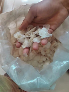 เกล็ดปลานิลแห้งตากแดด100% เกล็ดปลาสำหรับอุตสาหกรรมเครื่องสำอางและอาหารสัตว์จากเวียดนาม - Product Image 4