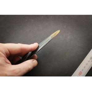 Dossier en corne naturelle en vrac personnalisable de 3mm d'épaisseur Style simple pour les praticiens et les revendeurs holistiques - Product Image 1