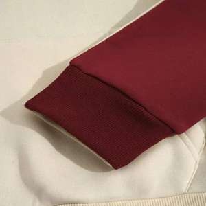 Sudaderas con Capucha para Hombre, Forradas, de Moda, en Color Sólido, Tejido de Punto de Algodón/Poliéster de Alta Calidad para Invierno - Product Image 3