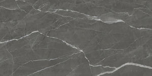 2020 nouvelle collection de carreaux de sol en porcelaine de stationnement les plus vendus en Inde pour salle de séminaire. - Product Image 3