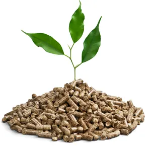 Beste Lieferung Biomasse Holzpellets Sägemehl Holzzylinder-Stromerzeugung Anlage Heizung Treibstoff Material Großhandel