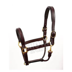 Cabestro de cuero acolchado para caballos hecho a mano, estilo inglés, para todas las estaciones, para uso en equitación, hecho en Pakistán - Product Image 6