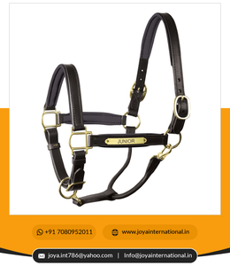 Qualité supérieure indienne personnaliser licou de cheval personnalisé licou en cuir rembourré avec plaque signalétique léger - Product Image 2