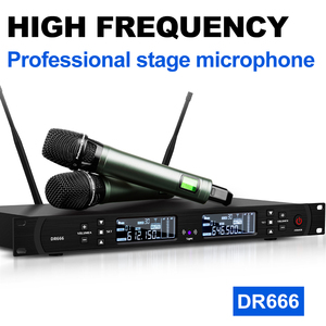 Loa hệ thống âm thanh Biner LS15 Dual 15 inch 2 kênh với âm thanh chuyên nghiệp dành cho biểu diễn sân khấu - Product Image 5