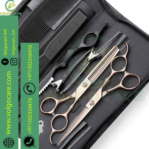 Tijeras de peluquero profesional Juego de tijeras de peluquería con tijeras de adelgazamiento de cabello de acero inoxidable para hombres Mujeres Mascotas 10 piezas - Product Image 5