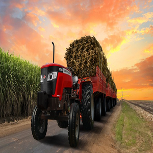 Prix bas Meilleur prix tracteurs Massey Ferguson d'occasion pour équipement agricole Prix bon marché En stock Livraison rapide à vendre - Product Image 6